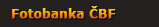 Fotobanka ČBF